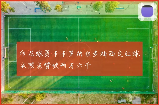 印尼球员卡卡罗纳尔多梅西走红球衣照点赞破两万六千